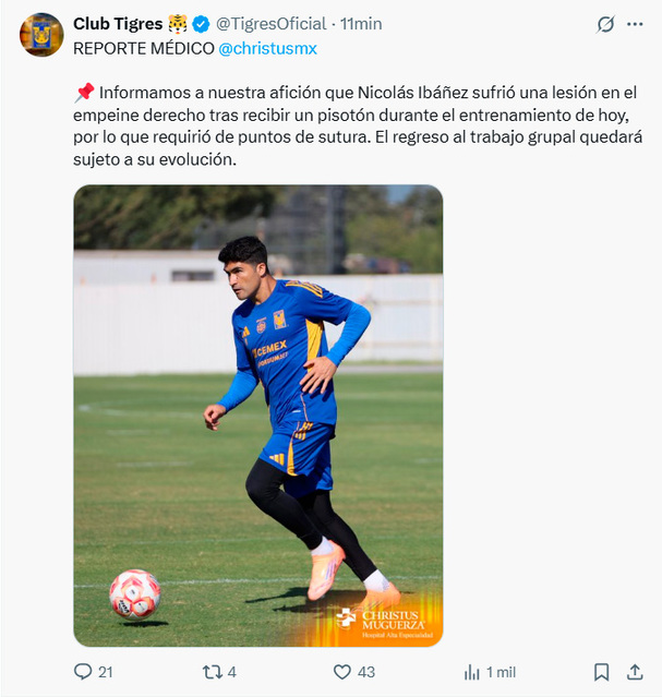 Tigres informó la baja de Nico Ibáñez.
