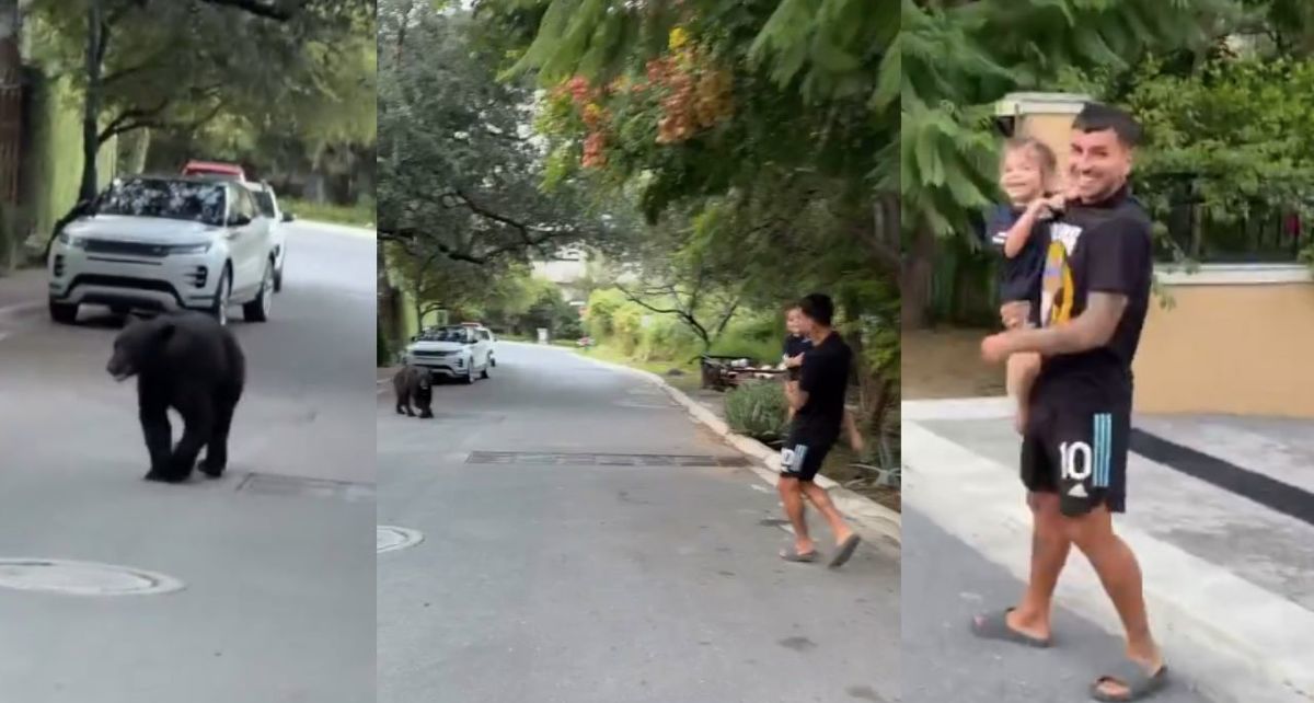 Ángel Correa se topó con un oso negro en Monterrey. (Foto: captura de pantalla)