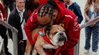 Lewis Hamilton se despidió de su perro Roscoe (Instagram @lewishamilton)
