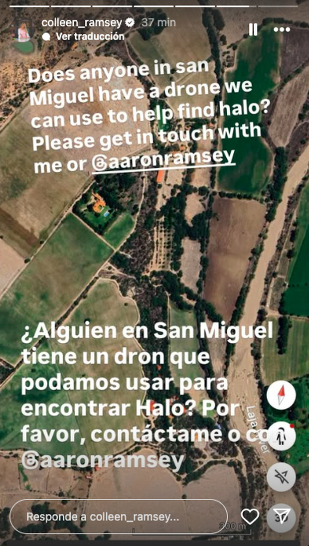 Colleen Ramsey busca persona con dron para encontrar a su perrito. (Foto: @colleenramsey)