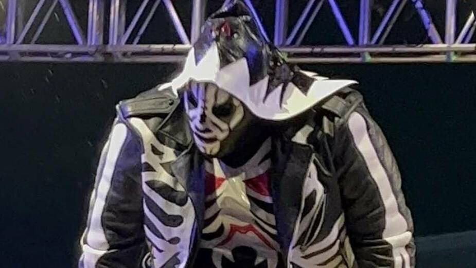 LA Park defendió la función de despedida del Hijo del Santo (FB Adolfo Tapia Ibarra)