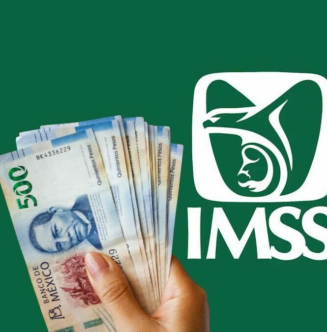 Conoce los requisitos para aumentar tu pensión del IMSS en noviembre 2025. Foto: Especial