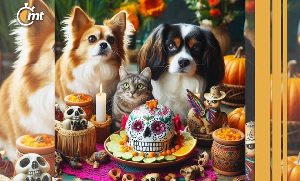 Ofrenda para mascotas Día de Muertos| Foto: Especial