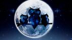 Conoce todos los detalles para no perderte la Gran Venta Nocturna Sanborns 2025. Foto: Sanborns