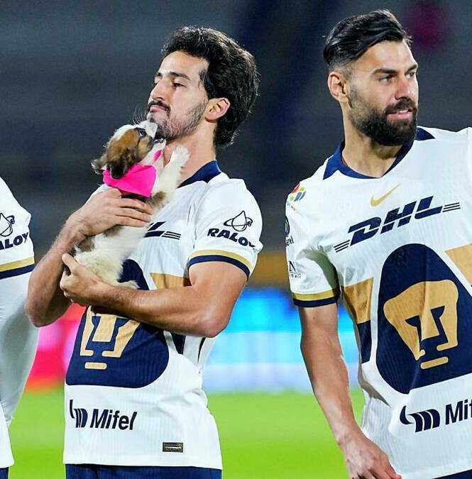 Pablo Bennevendo habla sobre el presente de Pumas (Imago7)