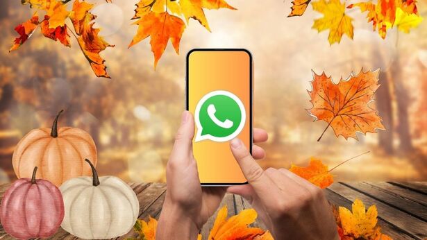 Dale estilo a tu WhatsApp | Así puedes activar el modo otoño y cambiar tu chat (FOTO: Especial)