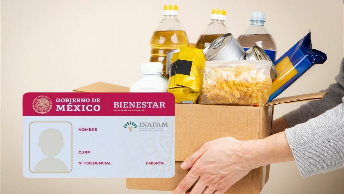 Despensas gratis en GAM: requisitos y fechas para adultos mayores con INAPAM (Foto: Especial)