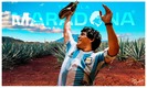 El tequila Maradona tiene una gran variedad. (Foto: Tom Mendoza)