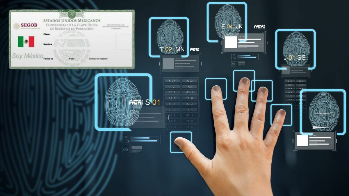 CURP Biométrica: Estas son las partes de tu cuerpo que serán escaneadas (Especial)