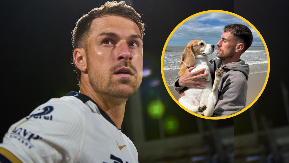 Aaron Ramsey explicó situación de su perro extraviado en México (Mexsport | @aaronramsey)