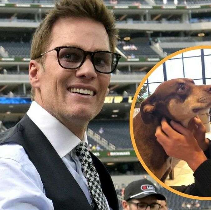 Con la ayuda de una empresa de biotecnología, Tom Brady recuperó a su perro al ser clonado. Foto: Reuters
