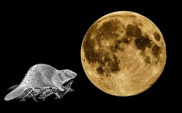 ¿Cuando es la luna llena de castor en México? Fecha y hora del evento