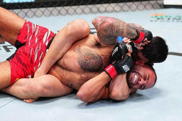 Dulgarian fue sometido en el primer round pese a ser favorito / UFC