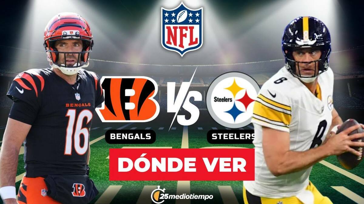 Dónde ver Steelers vs Bengals EN VIVO: partido Semana 11 NFL 2025