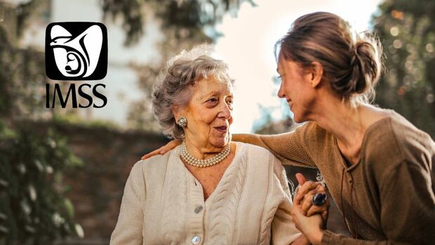 IMSS: cómo ver tus semanas cotizadas gratis desde la app móvil. Foto: Especial