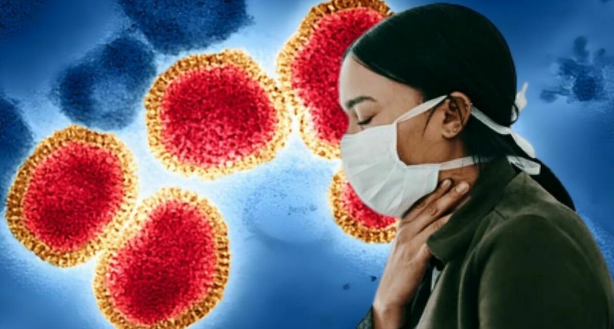 Todo lo que debes saber de la nueva gripe H3N2: síntomas, grupos de riesgo y probabilidad de pandemia. (NIH-NIAID/BSIP/picture alliance).
