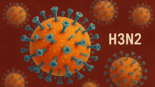 Conoce los grupos vulnerables de la nueva gripe H3N2. Foto: Sora IA