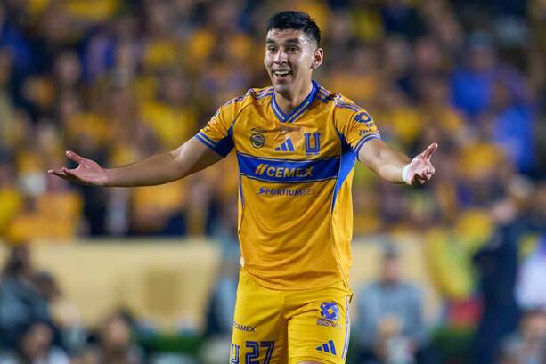 El jugador de Tigres se ha resentido de la rodilla en los últimos partidos / Mexsport