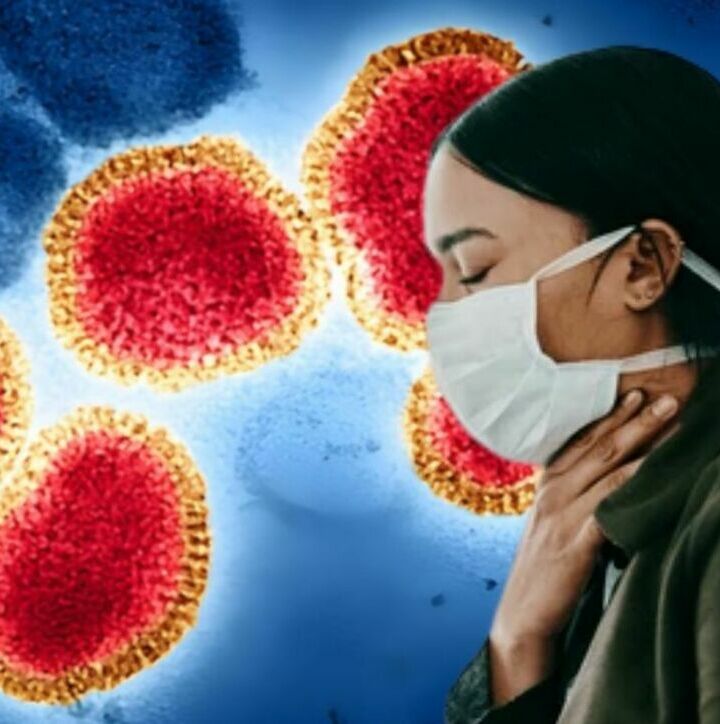 Todo lo que debes saber de la nueva gripe H3N2: síntomas, grupos de riesgo y probabilidad de pandemia. (NIH-NIAID/BSIP/picture alliance).