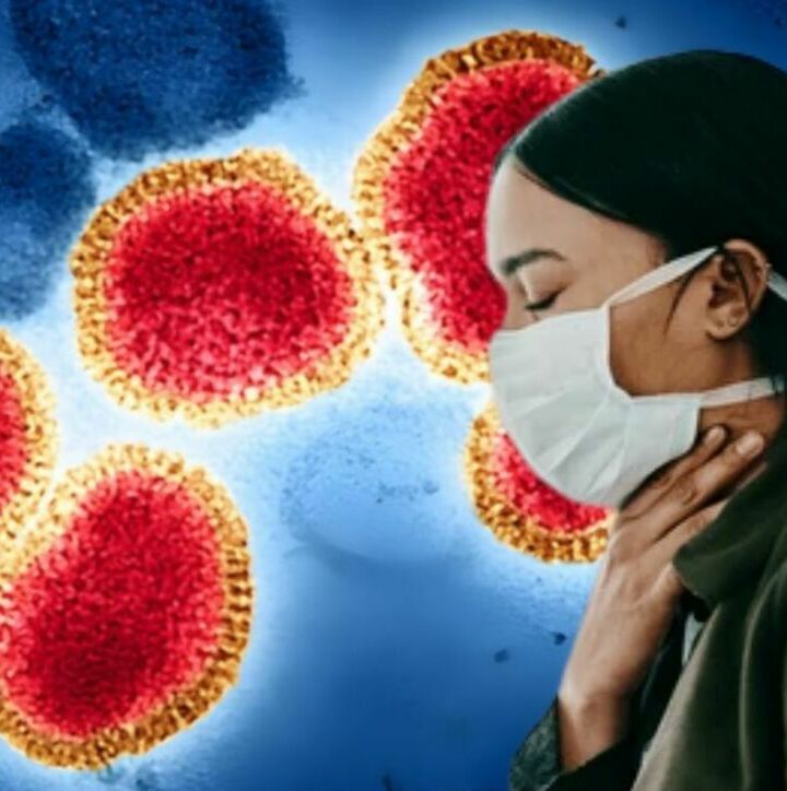 Todo lo que debes saber de la nueva gripe H3N2: síntomas, grupos de riesgo y probabilidad de pandemia. (NIH-NIAID/BSIP/picture alliance).