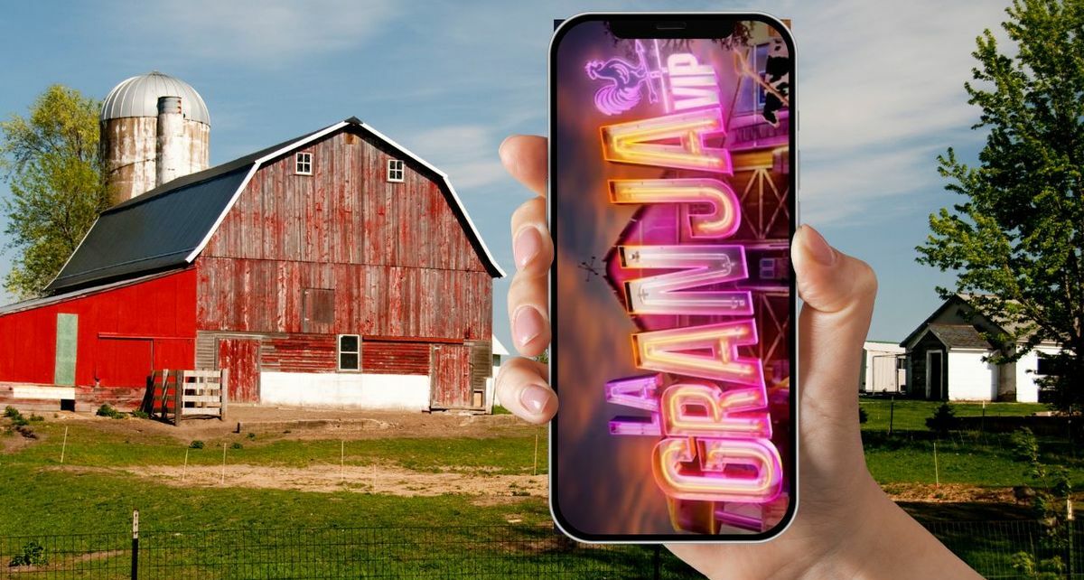 Así puedes votar por tu participante favorito de 'La Granja VIP'