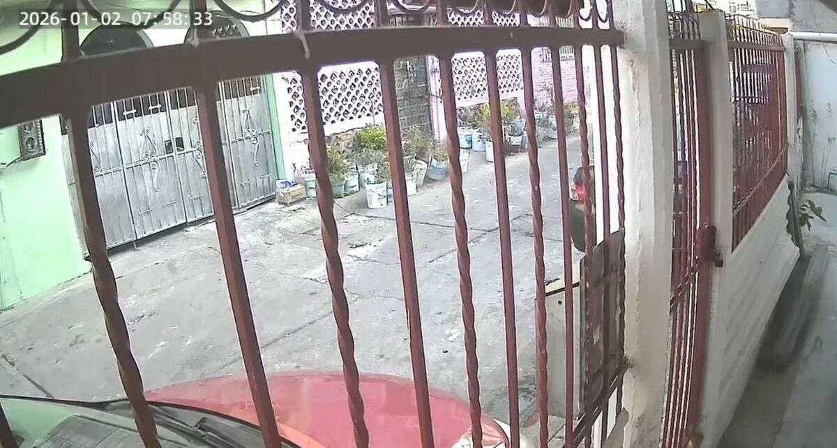 Habitantes de Guerrero, Ciudad de México y Veracruz comparten en redes cómo se vivió el sismo de hoy 2 de enero 2026. Foto: Especial