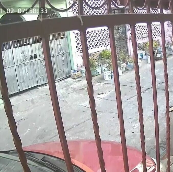 Habitantes de Guerrero, Ciudad de México y Veracruz comparten en redes cómo se vivió el sismo de hoy 2 de enero 2026. Foto: Especial