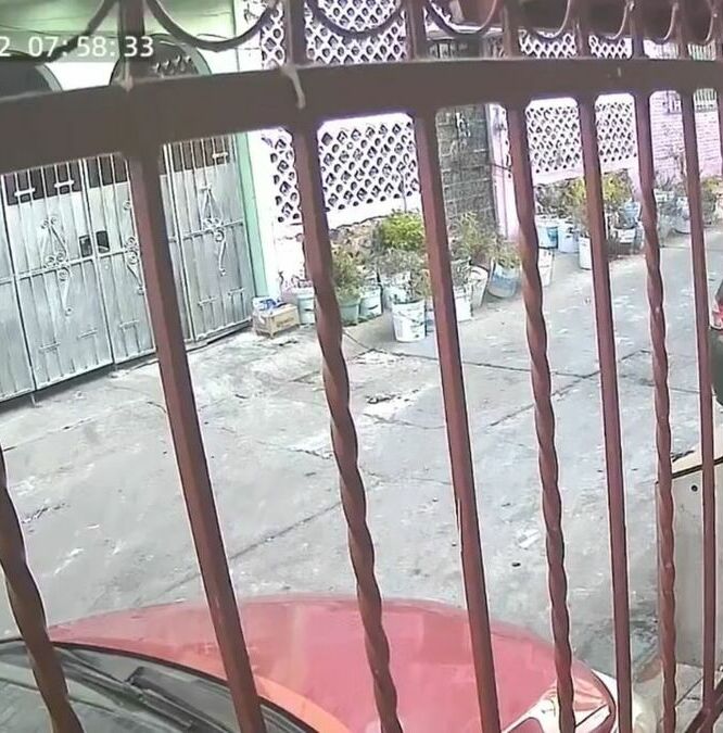 Habitantes de Guerrero, Ciudad de México y Veracruz comparten en redes cómo se vivió el sismo de hoy 2 de enero 2026. Foto: Especial