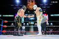 Habrá luchas interesantes en CMLL (Cortesía)