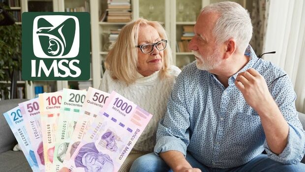 ¿Quieres obtener una pensión vitalicia del IMSS en 2025? Estos son los requisitos con los que debes cumplir. (FOTO): Especial.