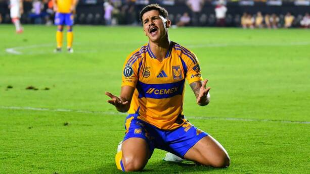 Romulo Zwarg se queja en partido de Tigres (Imago7)