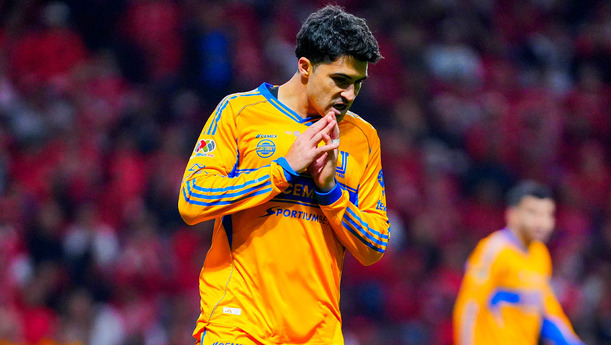 Nicolás Ibañez quedó fuera de la convocatoria de Tigres. (Foto: Imago7)