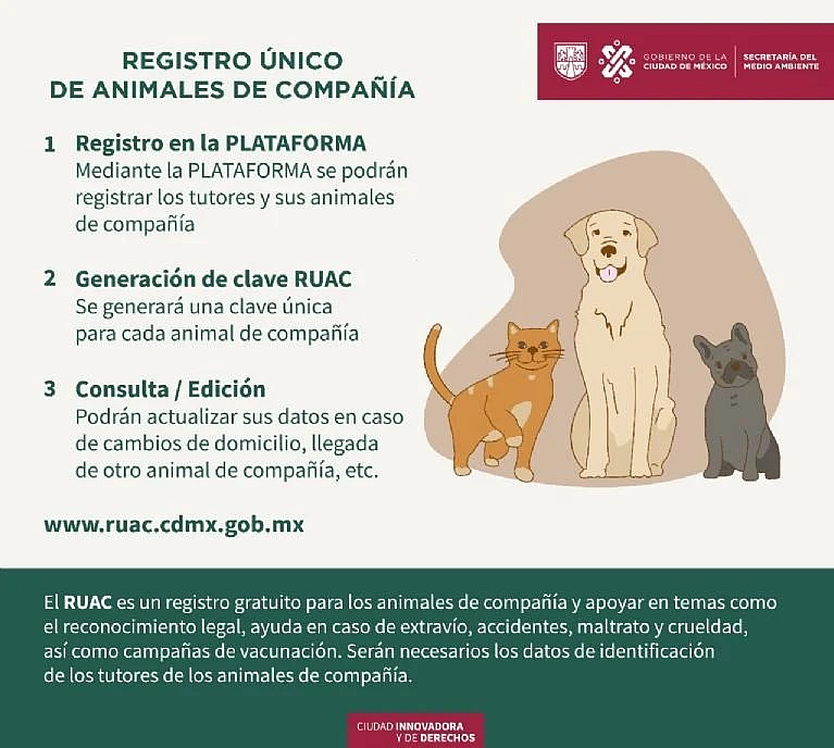 Estos son los pasos para registrar a tu mascota en el RUAC. Foto: Gobierno CDMX