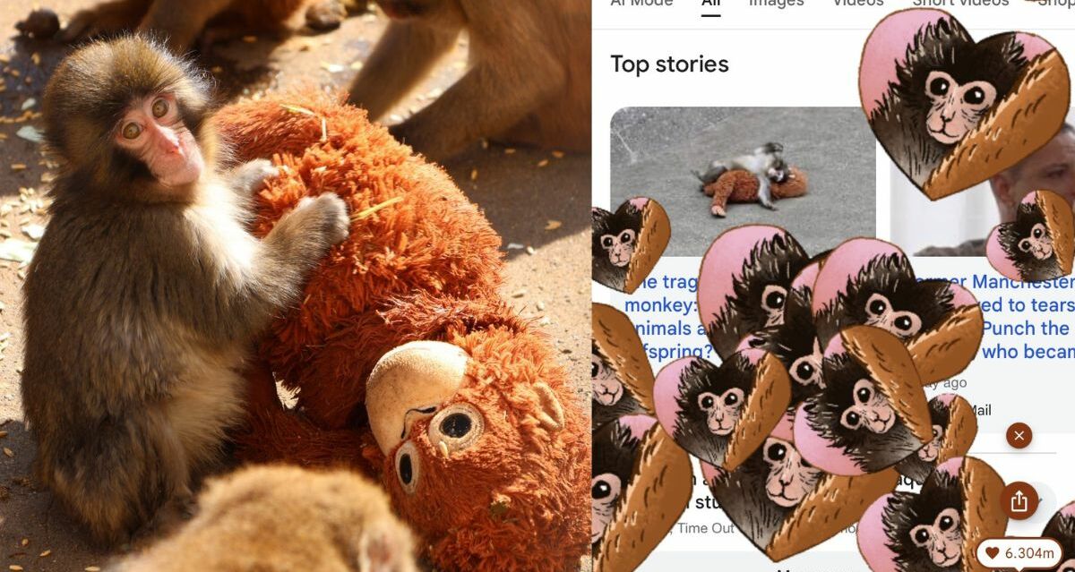 ¿Cómo activar el doodle de Punch en Google?