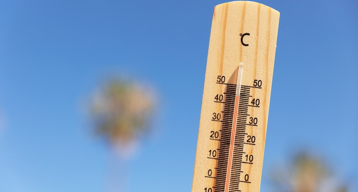 SMN confirma que habrá una ola de calor en 5 estados de México a partir de marzo del 2026. Foto: Freepik