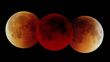 ¿En qué estados de México se podrá ver el eclipse Luna de Sangre?