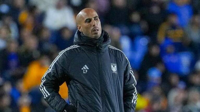 Guido Pizarro espera refuerzos de jerarquía en Tigres (Imago7)