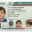 CURP Biométrica 2026: ¿Cuál es la edad mínima para realizar el trámite? Foto: Sora IA