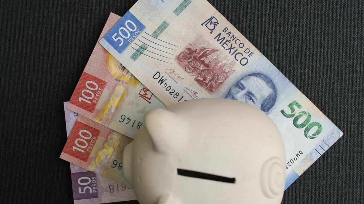 Esto podrían llegar a recibir de UTILIDADES los empleados que ganan 8 mil pesos al mes. (FOTO): Especial.