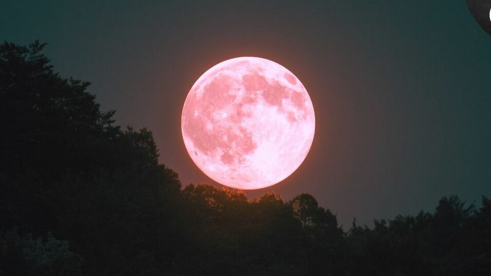 Luna Rosa: origen y cómo ver en México este 2025. (FOTO): Especial.