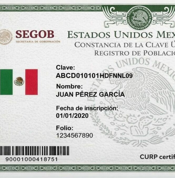 La CURP certificada se puede descargar gratis en línea y es necesaria para realizar trámites. Foto: Sora IA