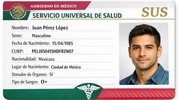 A partir del 13 de abril comenzarán los registros para la Credencial de Servicio Universal de Salud. Foto: Sora AI