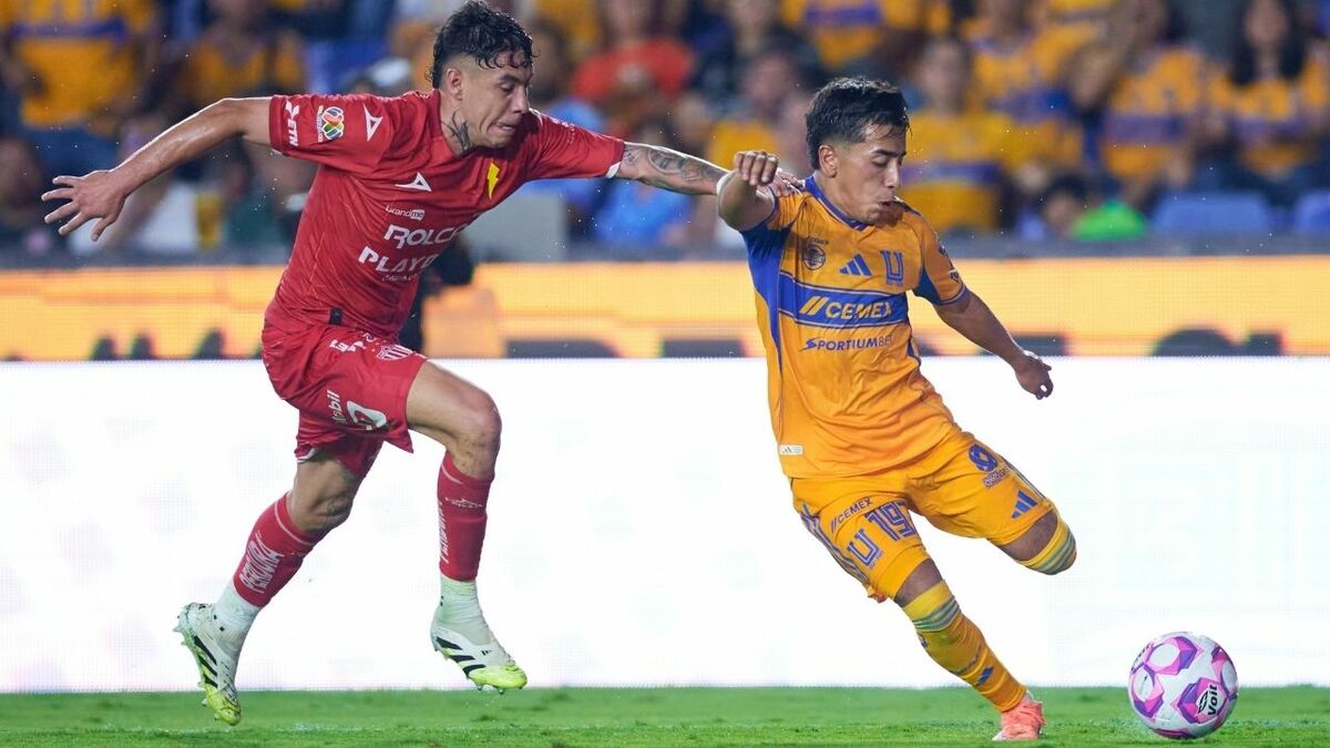 Tigres visita al Necaxa en la Jornada 15. (Foto: Mexsport)
