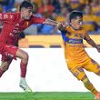 Tigres visita al Necaxa en la Jornada 15. (Foto: Mexsport)