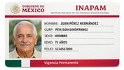 INAPAM aclara si debes renovar tu credencial: edad y requisitos vigentes. (FOTO): Sora IA.