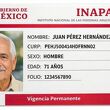 INAPAM aclara si debes renovar tu credencial: edad y requisitos vigentes. (FOTO): Sora IA.