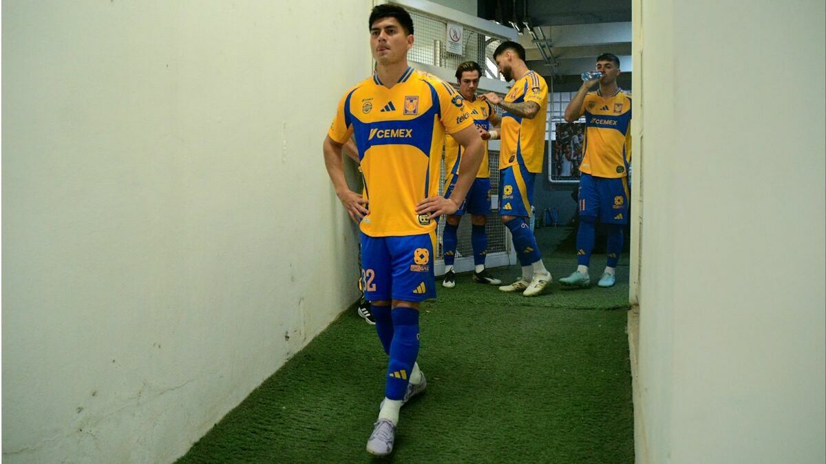 Vladimir Loroña apunta a salir de Tigres (Imago7)
