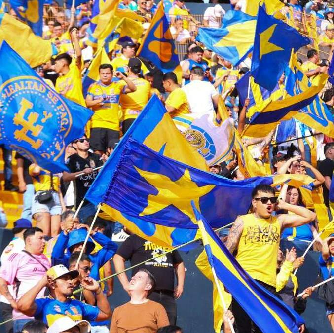 Aficionados de Tigres se vieron involucrados en pelea ante gente de Chivas (Imago7)