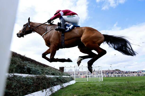 "Gold Dancer" fue sacrificado en el lugar debido a la lesión / Reuters