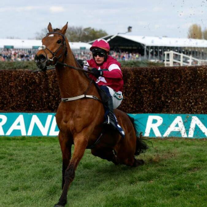 Muere caballo "Gold Dancer" tras ganar carrera / Reuters